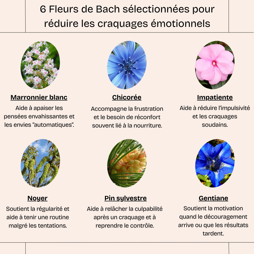 Perdez du poids en contrôlant vos émotions – Fleurs de Bach