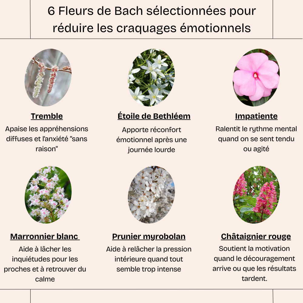 Retrouvez un sommeil plus calme en apaisant votre mental - Fleurs de bach