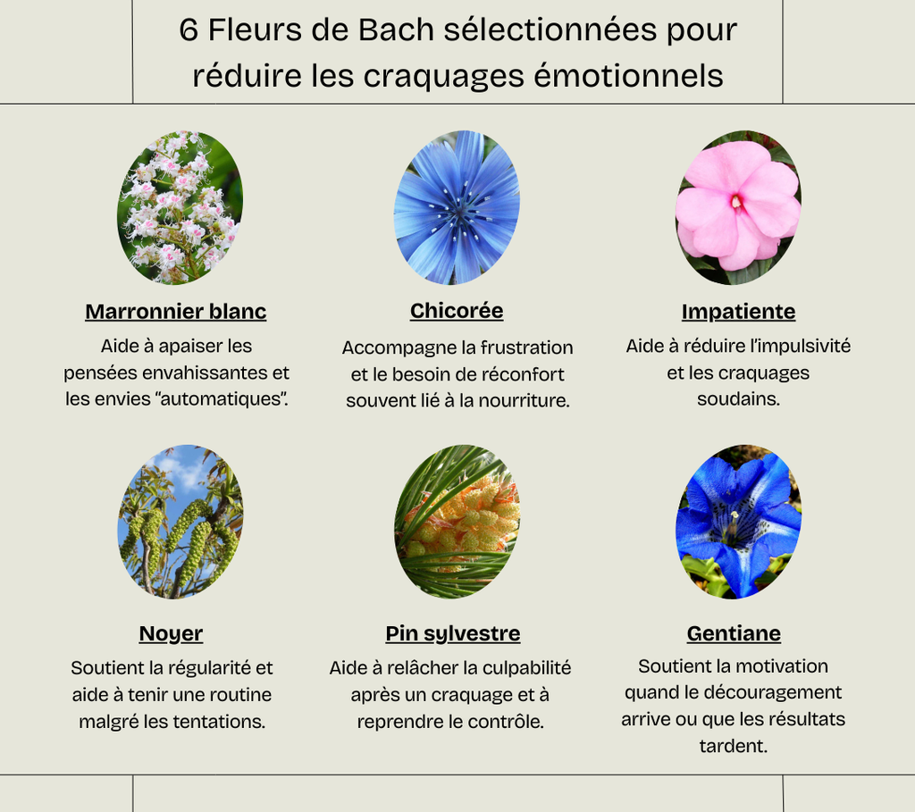 Perte de poids durable - Fleurs de Bach