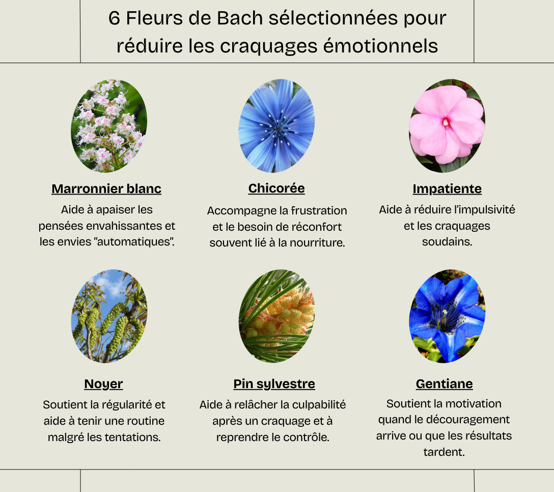 Perte de poids durable - Fleurs de Bach